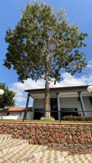 TODDES EXCLUSIVE RESORT - Paragominas - 3