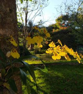 Recanto dos Beija Flores, Chalé lantana a - 5