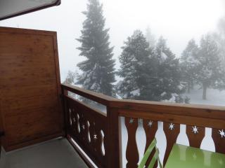 Joli studio 4 pers avec balcon sud aux Deux Alpes - Parking - FR-1-546-51 - Les Deux Alpes - 0