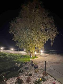 Guest House with hot tub - Boyle - 3