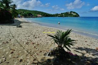 Très bel appartement T3 avec piscine et vue mer - 5