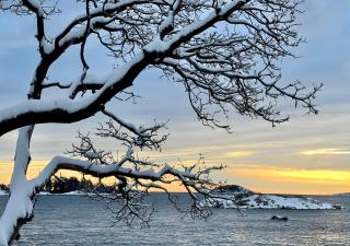 Waterfront Escape in Nanoose Bay with breakfast - 4