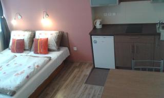 Hotel Gól Prostějov - 9