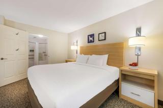 Sonesta ES Suites Charlotte Arrowood - 4
