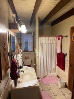 Smokey Mountain Cabin - Murphy - 2