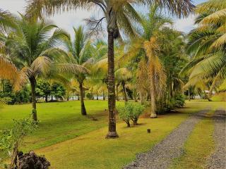 HUAHINE - Hibiscus House - Haapu - 4