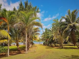 HUAHINE - Tipanier House - Haapu - 3