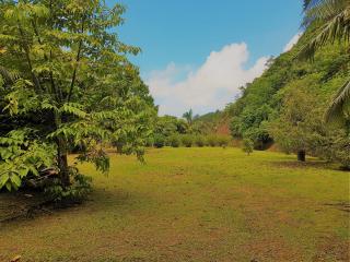 HUAHINE - Tipanier House - Haapu - 1