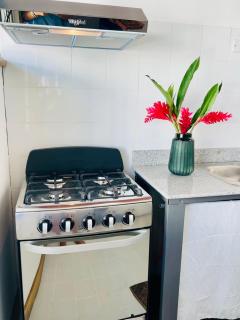 Apartamentos Casa Le Parc - 3