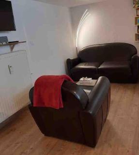 Studio 1 à 4 pers, proche Strasbourg, Europa-Park, Colmar - Erstein - 2