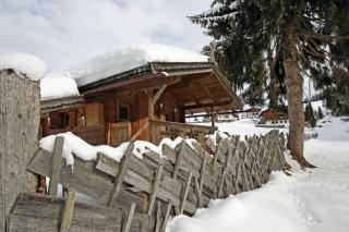 Almliesl HOLL-361 - Hollersbach im Pinzgau - 9