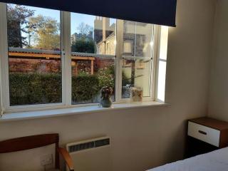 Apartment on ground floor in Oxford city centre - Oxford - 6