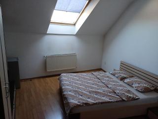 Casa Spatar - Sibiu - 7