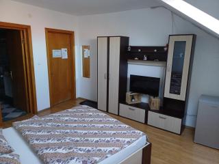 Casa Spatar - Sibiu - 6
