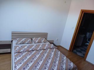 Casa Spatar - Sibiu - 5