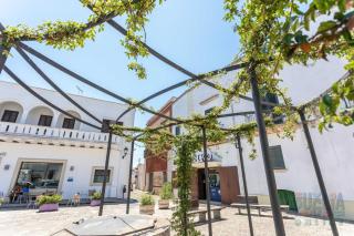 Casetta Centro Storico Puglia On line - Alliste - 0