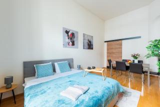 Spacious 3-bedrooms apartment near Karlin Square - 3