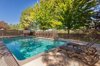 Best Western Plus Inn of Williams - Williams - 5