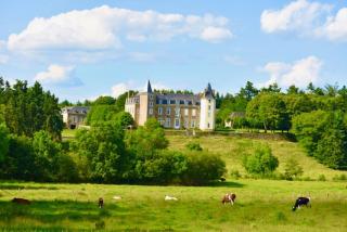 La Chambre Verte - Château de la Chauvelière - Joué-sur-Erdre - 2