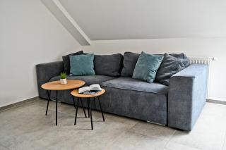 Apartment Lilly - Slivnica pri Mariboru - 7