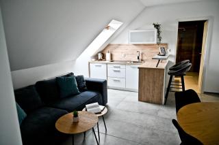 Apartment Lilly - Slivnica pri Mariboru - 3
