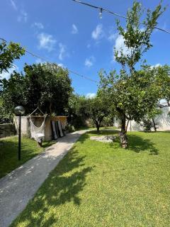 Garden apartments Ischia super centrale - Ischia - 4
