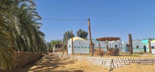 The Garden Under The Moon - 1