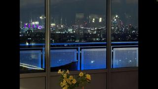 The London Skyline Penthouse - Londra - 1