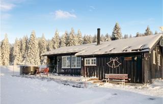 3 Bedroom Amazing Home In Lillehammer - Lillehammer - 9