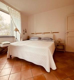 "Ulivi nel Blu" Country House With Pool 2 Rooms - 9