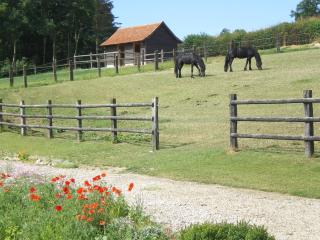 Ferme des tilleuls - Bezinghem - 8