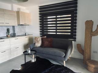 Ocean shore apartment 2 - Puerto de Santiago - 1