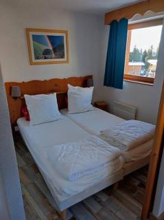 Appartement au calme près des pistes - Chamrousse - 7