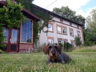 Gutshaus Alt-Krassow - Lalendorf - 4