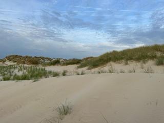Appartement Plage Merlimont 10 mn Berck le Touquet avec jardin - Merlimont - 1