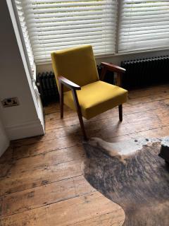 Quirky spacious ground floor Victorian garden flat - 6