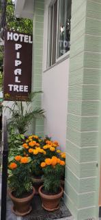 Hotel Pipal Tree - Kathmandu - 5
