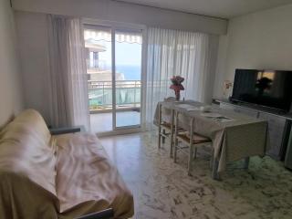 1 meter from Monaco. 5 min by elevators to Larvotto beach. - Beausoleil - 4