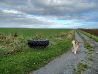 Redhouse Farm Cottage the most dog friendly place Ive ever stayed - Withernsea - 2