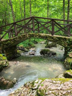 Tarski meda Kaludjerske bare,Tara - 8