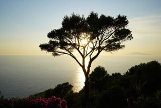 villa la guardia - Anacapri - 3