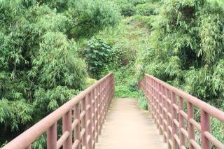 Vythiri Green Meadows-one zero one - Vythiri - 8