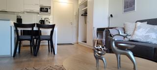 Kodikas huoneisto, oma sauna, ilmainen pysäköinti - 8