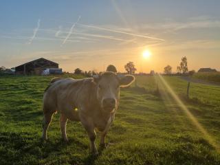 Q-time Barvaux, Durbuy-Adults Only - Durbuy - 1