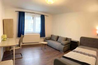 Düsseldorf Messe and Airport, 2-bedroom Apartment with Kitchen and Garden - 3