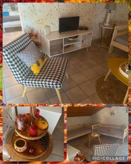 Stemicar dans les Landes - 1
