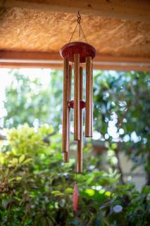 Espacio Antares - Icod de los Vinos - 5