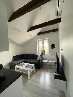 Apartament przy Teatrze - Chorzów - 6