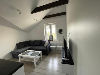 Apartament przy Teatrze - Chorzów - 9