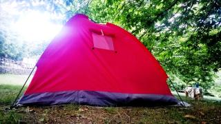 Camping Camaldoli - Camaldoli - 1